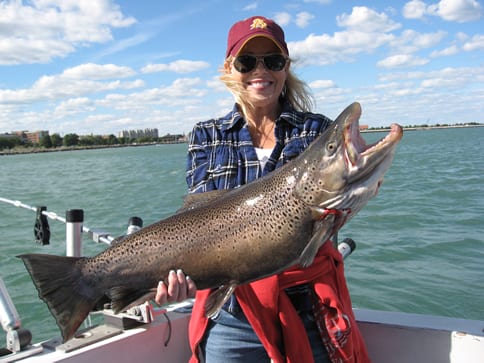Kenosha Wi - Charter Fishing - Lake Michigan Fishing - Stellar Charters - Brown Trout Fishing