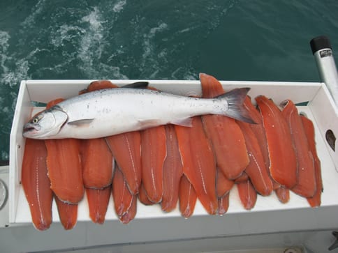 Fishing Charters - Stellar Charters - Salmon